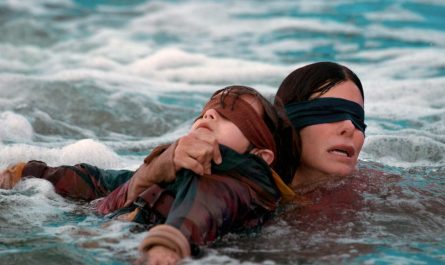 bird box horror film cover